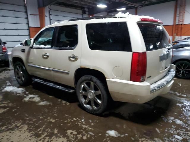 2010 Cadillac Escalade Luxury