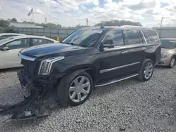 Cadillac Vehiculos salvage en venta: 2015 Cadillac Escalade Luxury