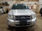 2010 Ford Escape Limited