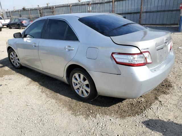 2007 Toyota Camry Hybrid