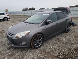 Salvage cars for sale at Anderson, CA auction: 2013 Ford Focus SE