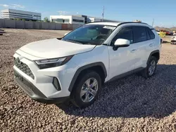 Salvage cars for sale at Phoenix, AZ auction: 2023 Toyota Rav4 XLE