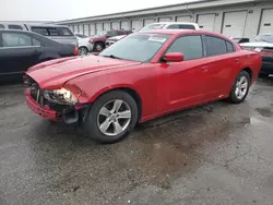 Vehiculos salvage en venta de Copart Louisville, KY: 2013 Dodge Charger SE