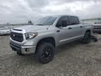 2020 Toyota Tundra Crewmax SR5