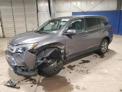 Salvage cars for sale at Chalfont, PA auction: 2019 Honda Pilot EXL