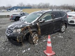 Carros salvage sin ofertas aún a la venta en subasta: 2013 Honda CR-V EXL