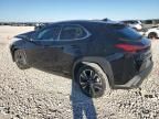 2021 Lexus UX 250H