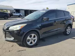 Salvage cars for sale at Fresno, CA auction: 2015 Ford Escape SE