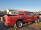 2010 Dodge Dakota SXT