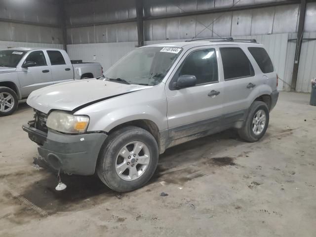 2007 Ford Escape XLT