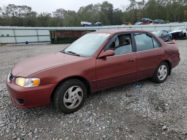 2001 Toyota Corolla CE