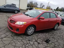 Toyota salvage cars for sale: 2013 Toyota Corolla Base