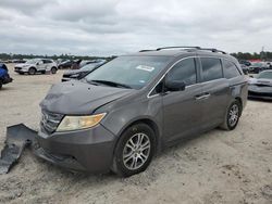 Salvage cars for sale at Houston, TX auction: 2011 Honda Odyssey EX