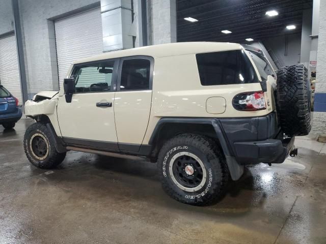 2010 Toyota FJ Cruiser