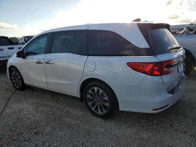 2024 Honda Odyssey EXL