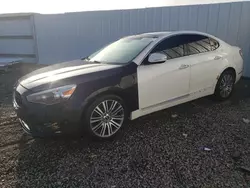 KIA Cadenza salvage cars for sale: 2016 KIA Cadenza Luxury