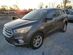 Ford Vehiculos salvage en venta: 2017 Ford Escape SE