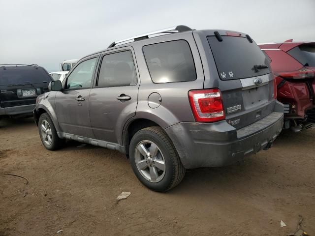 2010 Ford Escape Limited