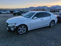 Lexus salvage cars for sale: 2010 Lexus LS 460