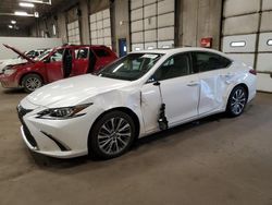 2019 Lexus ES 350 en venta en Blaine, MN