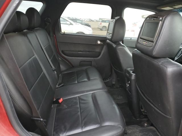 2010 Ford Escape Limited