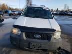 2006 Ford Escape XLT