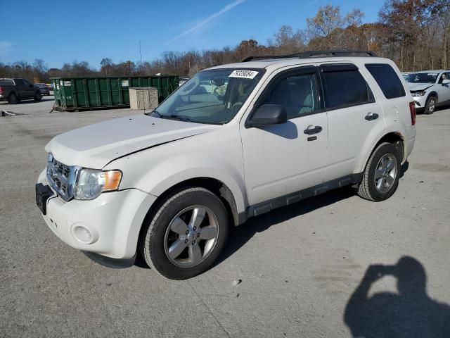 2011 Ford Escape XLT