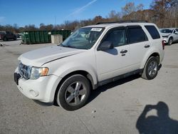 Salvage cars for sale at Ellwood City, PA auction: 2011 Ford Escape XLT