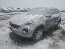 Salvage cars for sale at Brighton, CO auction: 2017 KIA Sportage LX