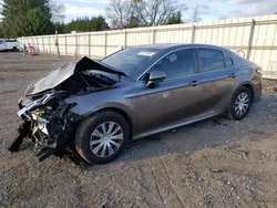 Salvage cars for sale from Copart Finksburg, MD: 2019 Toyota Camry LE