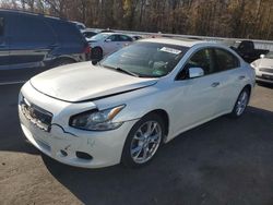 Salvage cars for sale at Glassboro, NJ auction: 2014 Nissan Maxima S