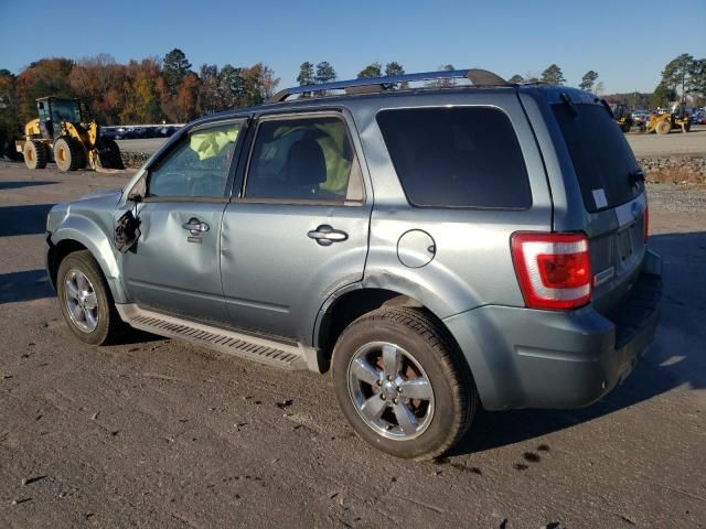 2010 Ford Escape Limited