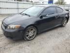 2008 Scion TC