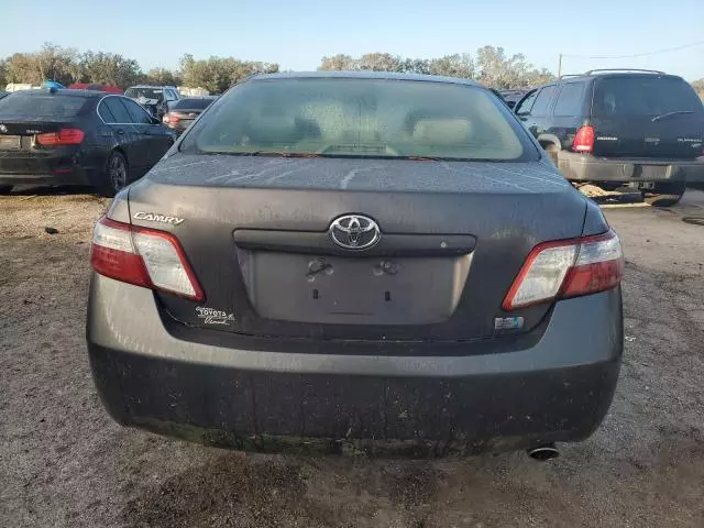 2007 Toyota Camry Hybrid