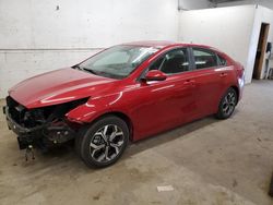 Salvage cars for sale at Ham Lake, MN auction: 2019 KIA Forte FE