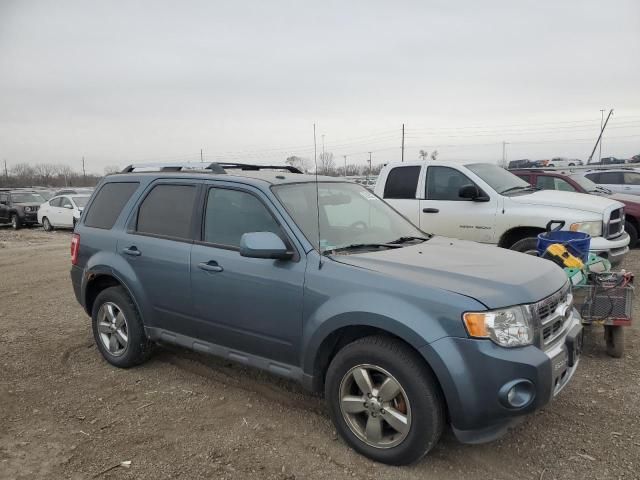 2012 Ford Escape Limited