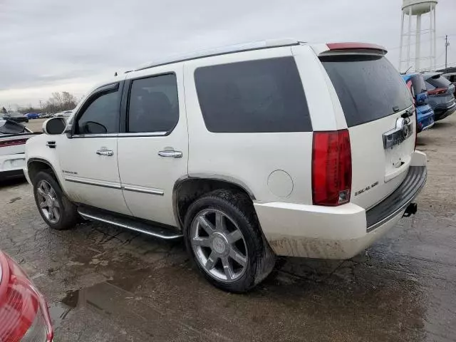 2007 Cadillac Escalade Luxury