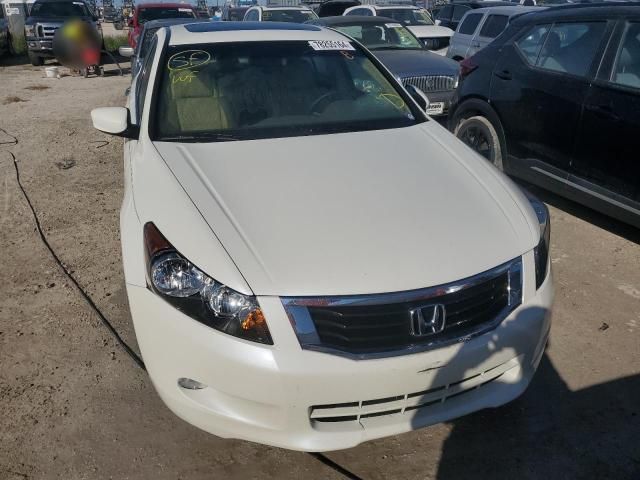 2009 Honda Accord EXL