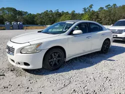 Salvage cars for sale at Houston, TX auction: 2010 Nissan Maxima S