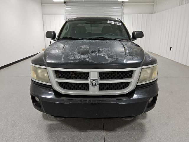 2010 Dodge Dakota SXT