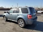 2010 Ford Escape Limited