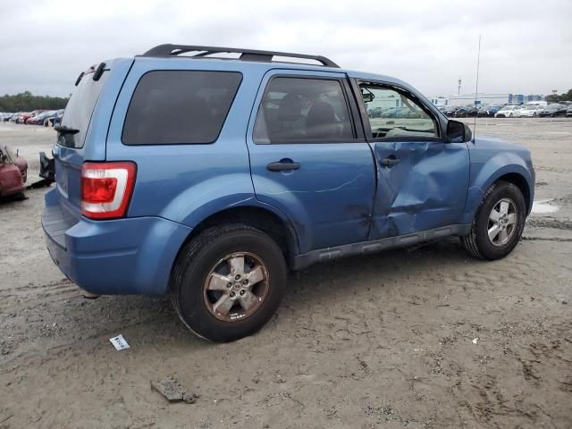 2009 Ford Escape XLT