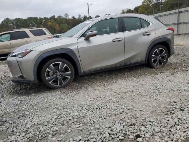 2020 Lexus UX 250H