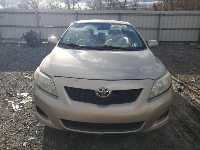 2009 Toyota Corolla Base