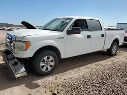 Salvage trucks for sale at Phoenix, AZ auction: 2009 Ford F150 Supercrew