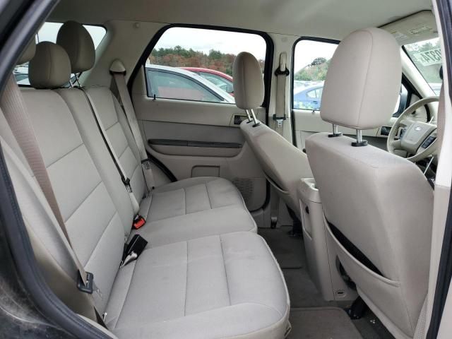 2011 Ford Escape XLT