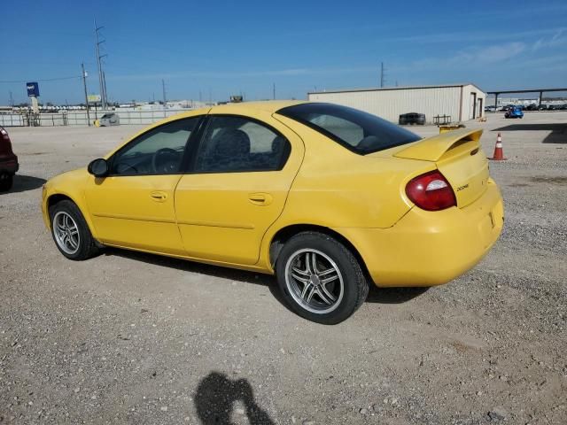 2003 Dodge Neon SXT