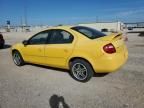 2003 Dodge Neon SXT