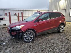 Carros con título limpio a la venta en subasta: 2014 Ford Escape Titanium