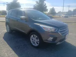 Ford salvage cars for sale: 2018 Ford Escape SE